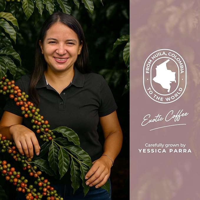 Cielito Paradise Coffee Pink Bourbon Medium Roast Single Origin Whole Bean Coffee from Huila Colombia 12oz