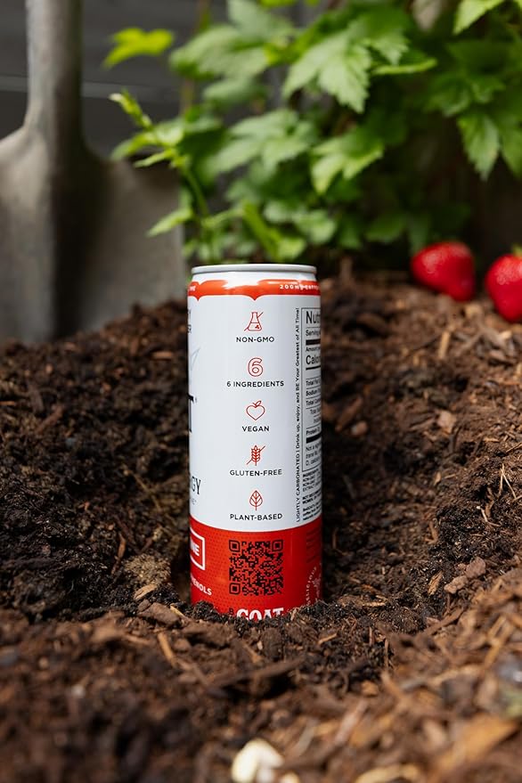 BeGOAT Clean Energy | Strawberry Lemon Ginger | 6 Ingredients Plant-Based Non-GMO Vegan | 200mg Natural Caffeine | 12 fl oz Cans (Pack of 12)