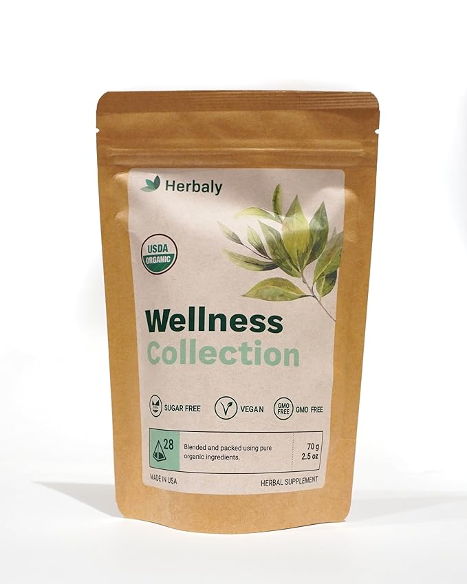 Herbaly Wellness Collection Organic Herbal Ginger Tea 70 g 28 Count Bag (Pack of 1)