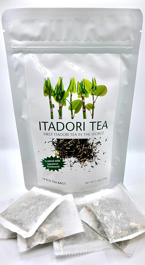 Itadori Tea - Organic Black Tea With Japanese Knotweed For Resveratrol &amp Immune Support Antioxidant-Rich All-Natural Ingredients 14 Tea Bags for Holistic Wellness
