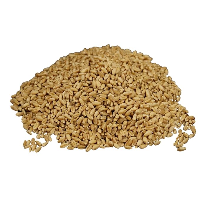 Wheatland™ Soft White Wheat Berries • 23 lbs • Delicious • Healthy Food Option • Farm Fresh • Mylar and Bucket Provide 25 Year Shelf Life • Emergency Food Storage • Non-GMO • Lab Tested Chemical-Free
