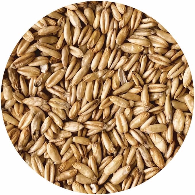 Mushroom Media Online10# Whole Grain Oats