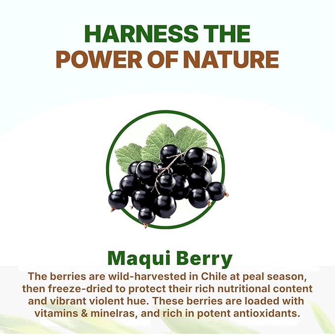 Go Nutra Organic Maqui Berry Powder | Maqui Superfood Freeze-Dried for Nutrition &amp Flavor | Chile Grown | Antioxidants &amp Polyphenols | Non-GMO &amp Gluten Free | 100% Natural | 16 ounce (1 lb