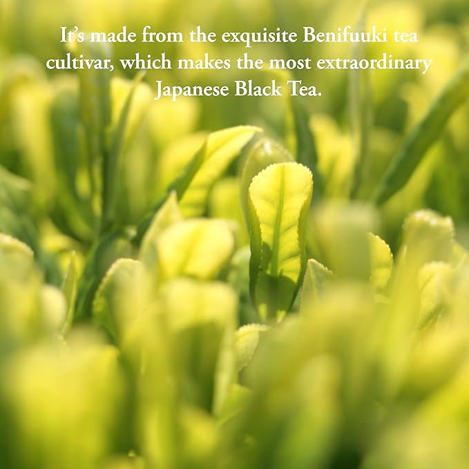 Organic Japanese Black Tea | Loose Leaf. 3.5 Ounce (50 Servings) | USDA Organic Black Breakfast Tea Leaves from Japan. Black Tea Loose Leaf. By Pantenger