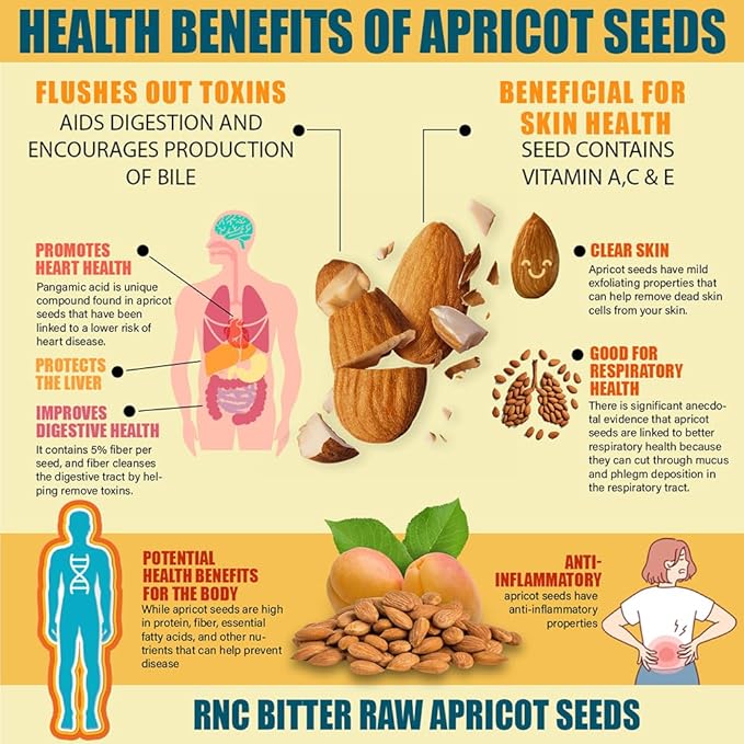 Richardson Nutritional Center Fresh Raw Bitter Apricot Seeds (1 LB) 16oz - California Grown Kernels with B Vitamins Minerals Protein - Lab Tested Vegan No Gluten or GMO