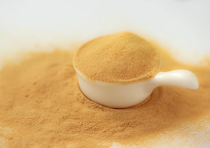 Food to Live Papaya Powder 1.5 Pounds - From Raw Dried Fruit Unsulfured Vegan Bulk Great for Baking Juices Smoothies Yogurts and Instant Breakfast Drinks No Sulphites Contains Maltodextrin