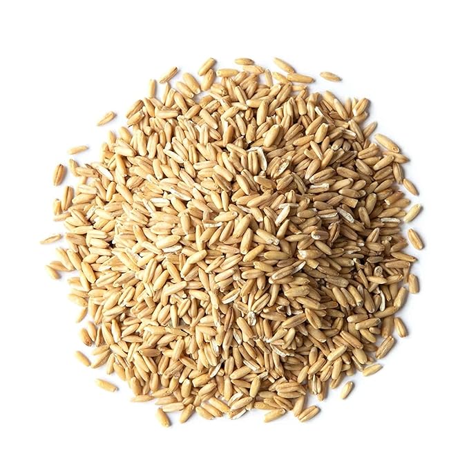 Food to Live Organic Oat Groats 3 Pounds - 100% Whole Grain Non-GMO Seeds Kosher Raw Non-Irradiated Vegan Bulk Low Glycemic Rich in Protein Fiber Copper and Manganese