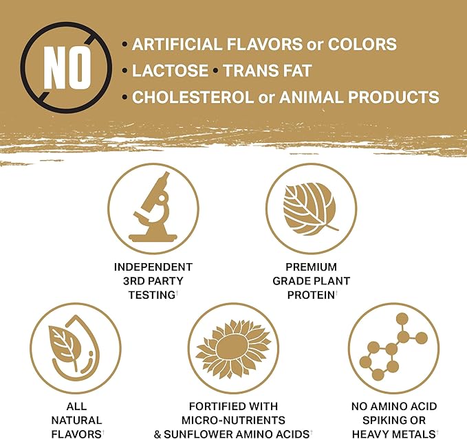 Ambrosia Planta - Plant-Based Protein Powder 20g | Dairy Free Vegan Protein Powder with BCAA Amino Acids | Keto-Friendly No Added Sugar | 25 Servings | Cookies Cream