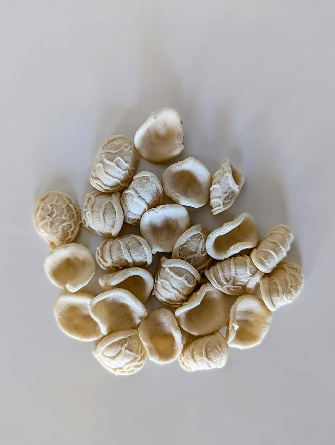 Giannetti Artisans Italian Handmade Orecchiette Pasta - 17.63 oz (2-Pack)