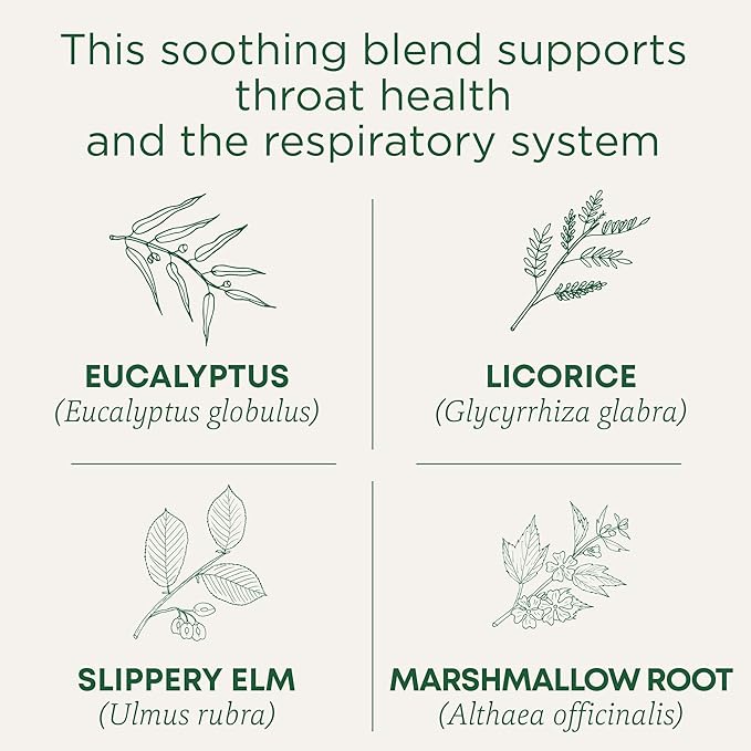 Traditional Medicinals Tea Organic Throat Coat Eucalyptus Throat and Respiratory Support 96 Tea Bags (6 Pack)