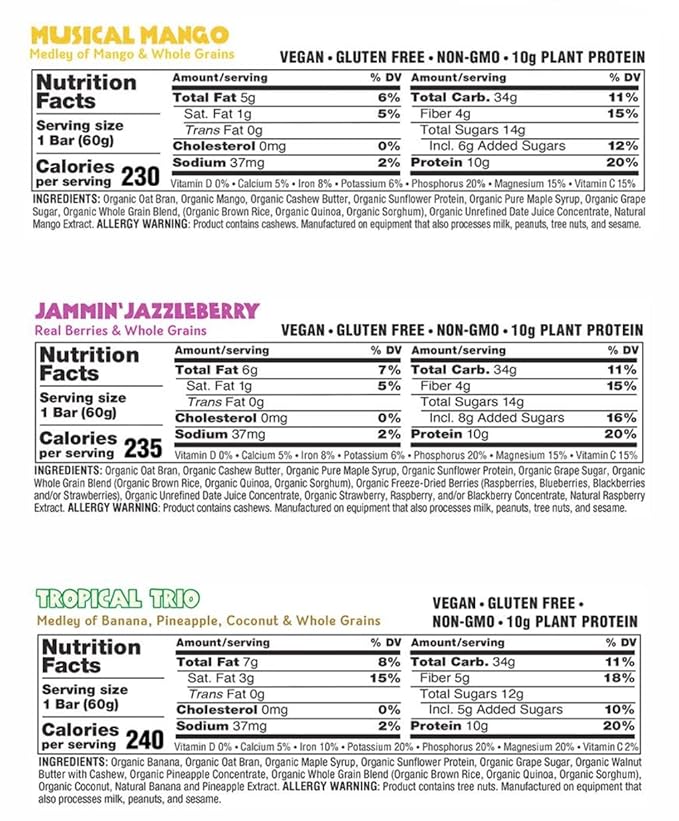JAMBAR Organic Artisan Energy Bar (Vegan Variety Pack -12 Pack)