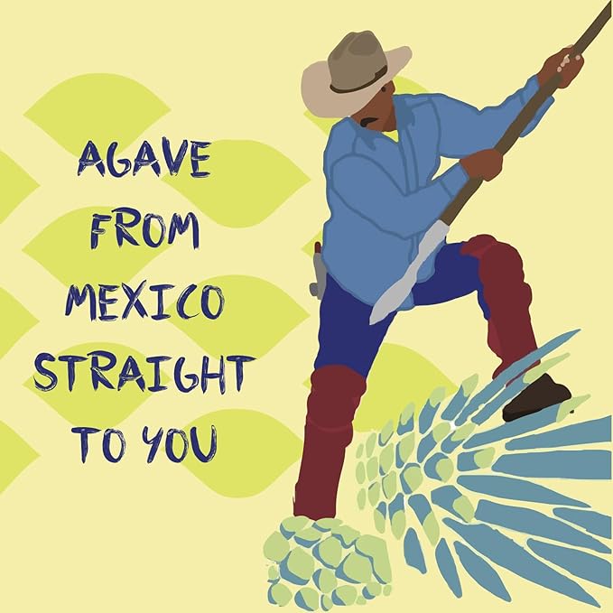 Chantico Agave Organic Sweetener (333g of each Variety 3 pack Raw Wild Hot) low Glycemic Index Vegan Sugar substitute Perfect for use in baking smoothies coffee tea yogurt