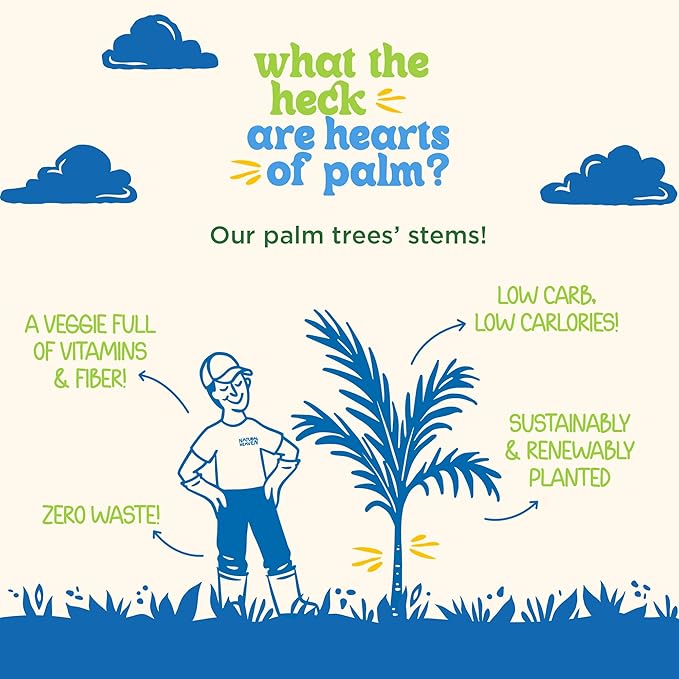 Natural Heaven Spaghetti Noodles Hearts of Palm 4-Pack – Naturally Rich in Potassium Low-Calorie Veggie Pasta Keto &amp Gluten-Free Food Vegan 9 Oz Ea
