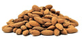Almonds Shelled Raw 10 lbs. Bulk by Its Delish