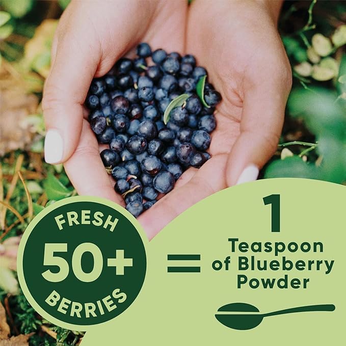 Wild Blueberry Powder Organic 5 Ounce Bag USDA Certified &amp Lab Tested - Freeze Dried Blueberries No Added Sugar Additives or Fillers - Antioxidant Superfood For Smoothies &amp Baking From Whole