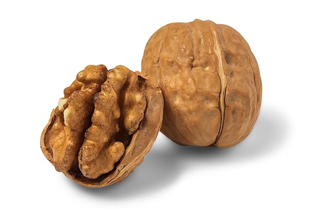 Nuts.com Pecans in Shell 1 Lb &amp Whole Walnuts in Shell 2 Lb – Fresh Unshelled Nuts Naturally Sweet &amp Buttery Flavor Good Source of Protein &amp Fiber