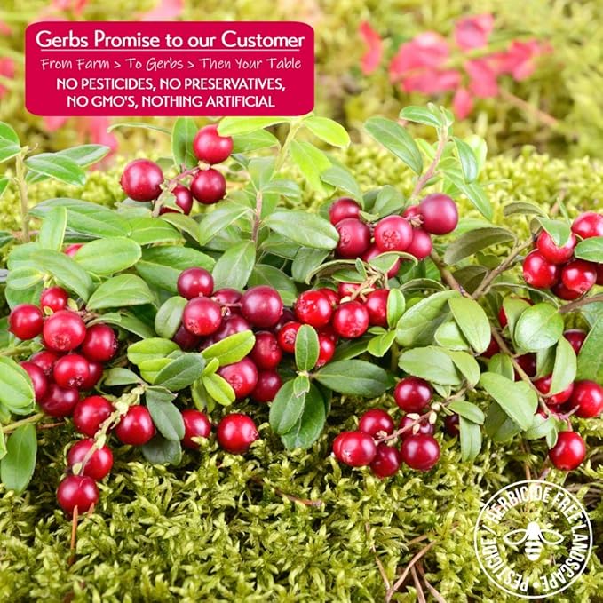 Gerbs Dried Sweetened Cranberries 2 lbs. | Unsulfured No Artificial Additives Resealable Bag | Naturally Tart &amp Juicy | Top 14 Allergen-Free