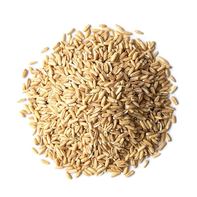 Food to Live Gluten Free Organic Oat Groats 10 Pounds – 100% Whole Grain Non-GMO Seeds Raw Non-Irradiated Vegan Bulk Berries. High in Protein Dietary Fiber Iron. Low Glycemic. Made in USA
