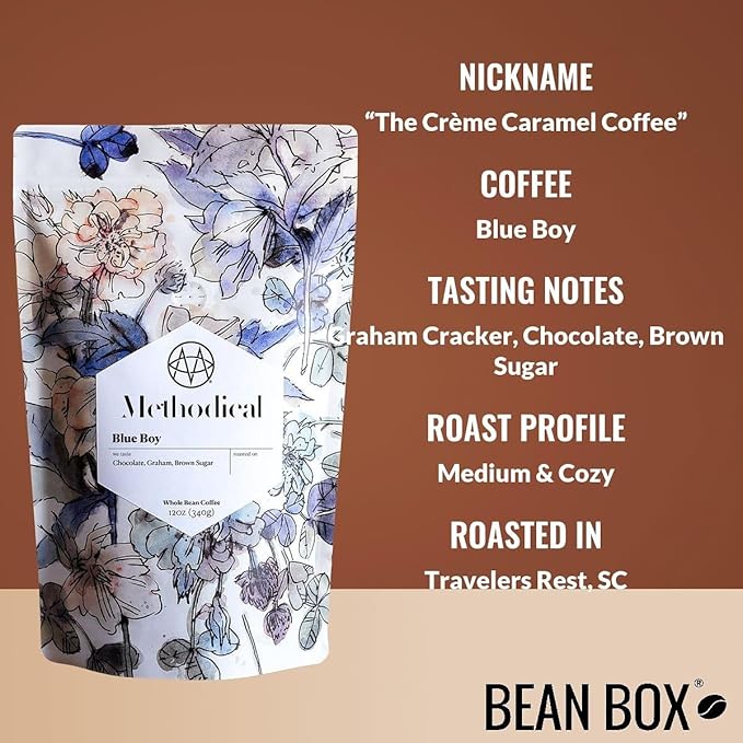 Bean Box Sampler - Roasted by Methodical Roasting 2-Pack Whole Bean Coffee Gourmet Coffee