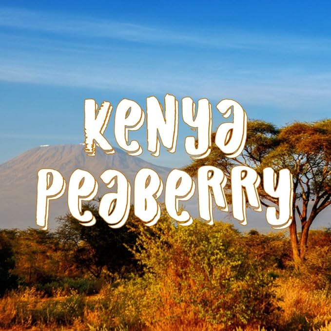 Kenya Peaberry Coffee Ground Fresh Roasted 16-ounce