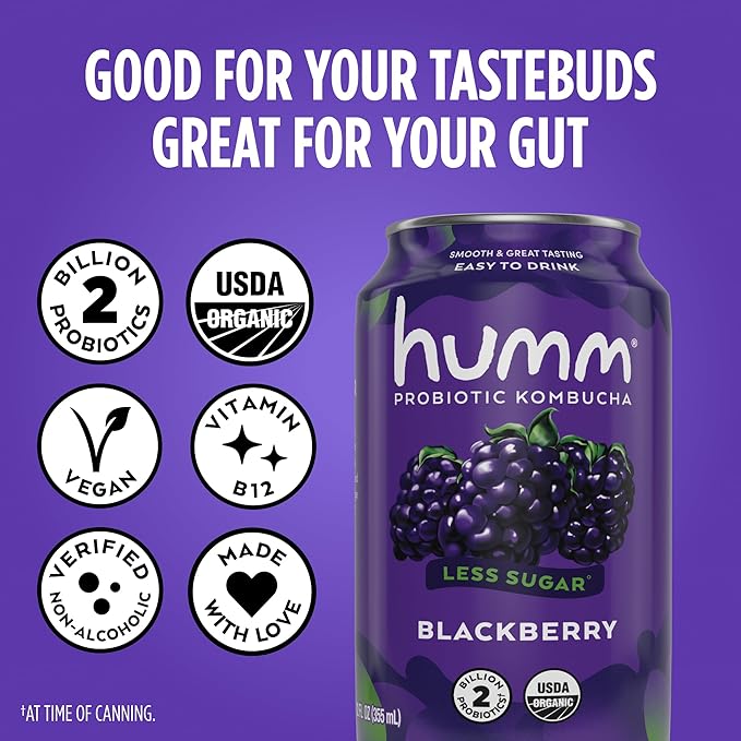 Humm Kombucha Blackberry Organic Vegan &amp GMO Free (24 Pack)