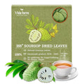 VIDA FARM 355+ Dried Soursop Tea Leaves Natural Whole Dried Soursop Leaves Graviola Hojas de Guanabana Para Te Guanabana Leaf Herbal Tea