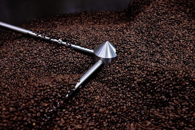 Buddy Brew Coffee Old Florida Roast- Medium Roast Whole Bean - Sustainably Sourced in Brazil &amp Colombia-2lb Bag GREAT VALUE-Specialty Grade Coffee- well balanced wtih notes of CitrusSugarcane &a