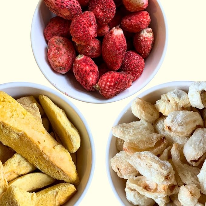 Healthy Superfood Snack for Kids &amp Adults | 100% Natural Vegan Gluten-Free No Added Sugar No Preservatives | Himalayan Harvest Freeze-Dried Fruit Snack Combo – Pack of 6 | Lychee Mango &amp