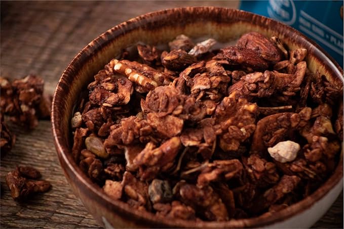 NutHouse! Granola Company - Premium Chocolate Espresso Granola | Certified Gluten-Free Non-GMO Kosher | Vegan | 11.5 oz. Bag (6-Pack)