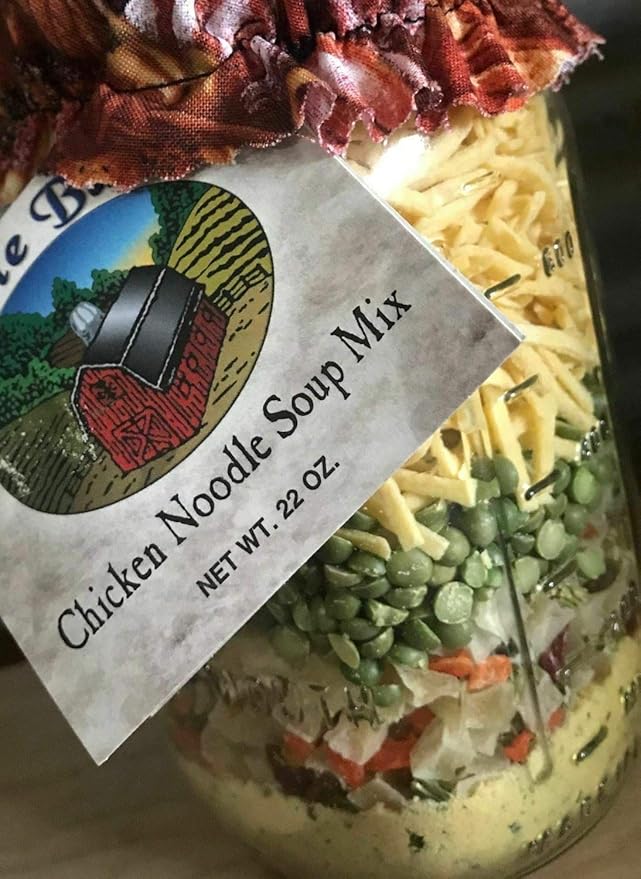 Chicken Noodle Soup Mix