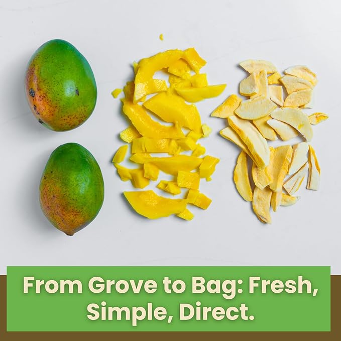 Wise Harvest Freeze-Dried Family Fruit Bundle – Six 1oz Packs | Single Ingredient Snack | 100% Real Fruit No Sugar Added Just Crunch | Healthy Vegan Gluten-Free Snack for Kids &amp Adults
