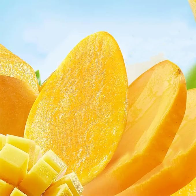 Dried Mango Slices Naturally Ripened Mangos Dried Fruits Delicious Texture Soft &amp Juicy Low Sugar Added Dried Mango Natural Fruit Snack Ideal for On-the-Go Yogurt Cake Decorating(17.6oz)