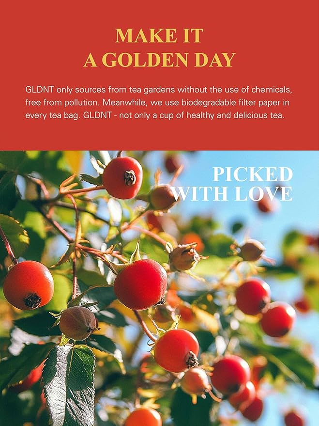 GLDNT Organic Rosehips Tea Premium Dried Organic Rose Hips Tea Loose Leaf Fruity Flavor and Aroma Whole Caffeine Free 16oz