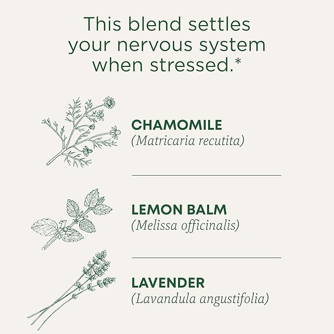 Traditional Medicinals Tea Organic Chamomile &amp Lavendar Stress Relief 96 Tea Bags (6 Pack)