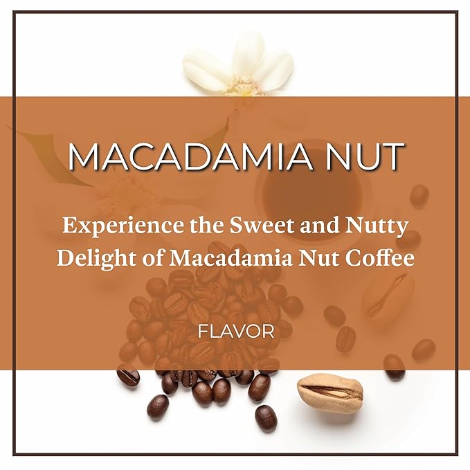 San Diego Coffee Macadamia Nut Medium Roast Ground Coffee 16-Ounce Bag Café molido tostado