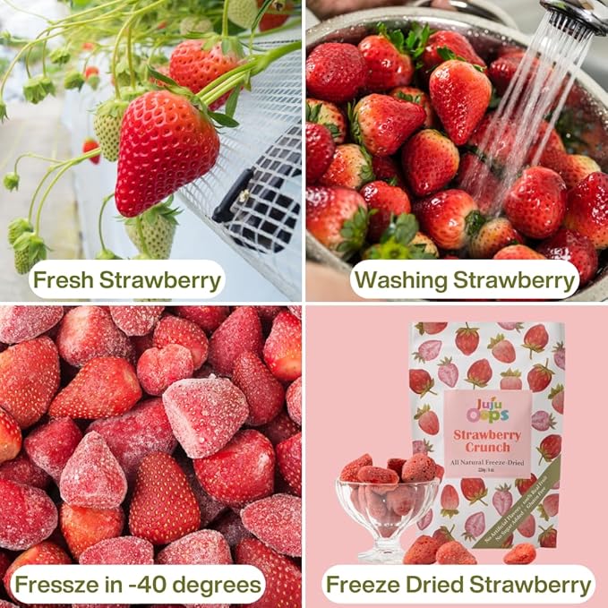 Juju-Oops Freeze-Dried Fruit Snack Bundle – 12-Pack Mixed Fruit &amp 8oz Whole Strawberries | 100% Natural Vegan No Sugar Added | Perfect for Camping Gifts &amp Healthy Snacking