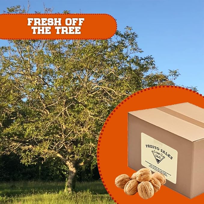 Walnuts Current new crop In shell Hartley choice Low-Carb High-Protein Unshelled Fresh Easy to crack Healthy snack Dietetic Vegan Packed in 5 lbs. (80 oz) box by Presto Sales