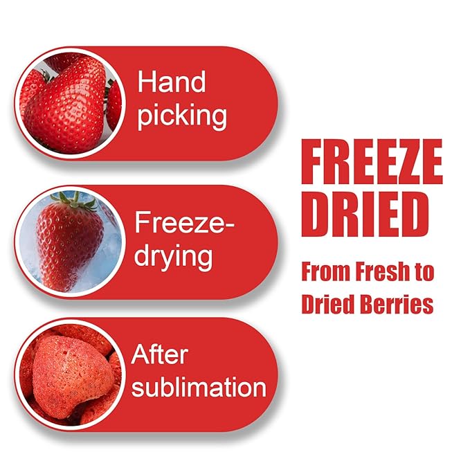 16 Oz Freeze-Dried Whole Strawberries and Dried Orange Slices