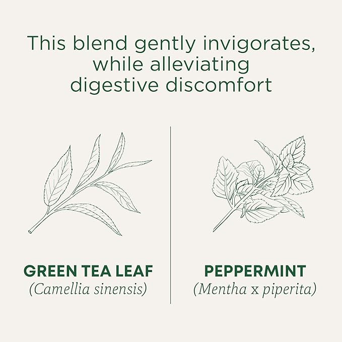 Traditional Medicinals Organic Green Tea Peppermint - Promotes Healthy Digestion Occasional Nausea &amp Indigestion Relief - Kosher Non-GMO - 96 Teabags (Pack of 6)