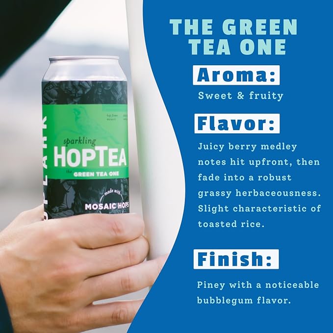 HOPLARK Sparkling HopTea – The GREEN TEA ONE – Tall 16fl oz cans (pack of 12) – Mosaic Hops and Sparkling Green Tea – L-Theanine – Antioxidants – Polyphenols – Unsweetened – Caffeinated – Zero Calorie