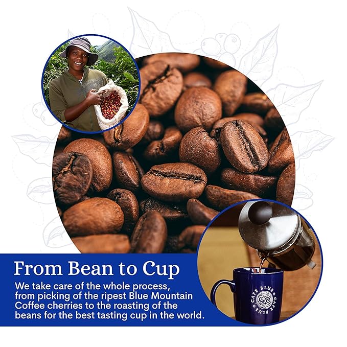 Cafe Blue - 100% Authentic Jamaica Blue Mountain Coffee (8 oz) Small Batch Roasted Whole Beans JACRA Certified Freshly Processed Jamaican Coffee Beans