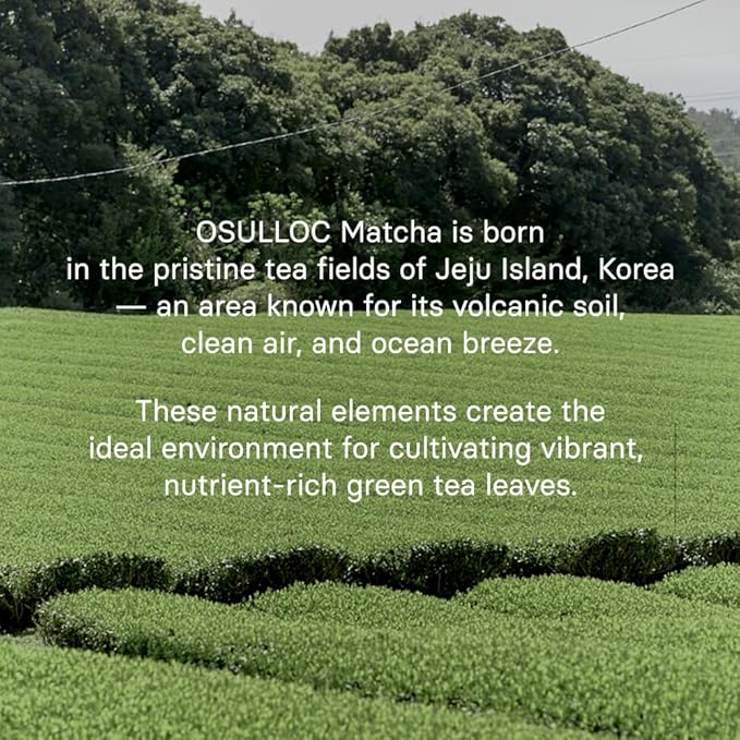 OSULLOC Volcanic Isle Matcha Milk Tea – Premium Jeju Matcha Latte Powder Just Add Water Creamy &amp Smooth Large Pouch (10.6oz 300g)