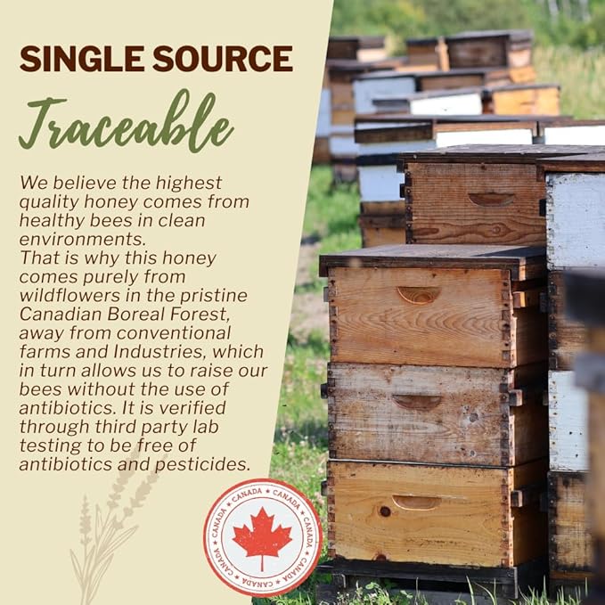 Oneroot 100% Canadian Wildflower Honey - 1.1 lbs Unheated &amp Creamed - Nutrient-Rich Natural Sweetener with Enzymes - Thick &amp Pure Raw Unfiltered Honey