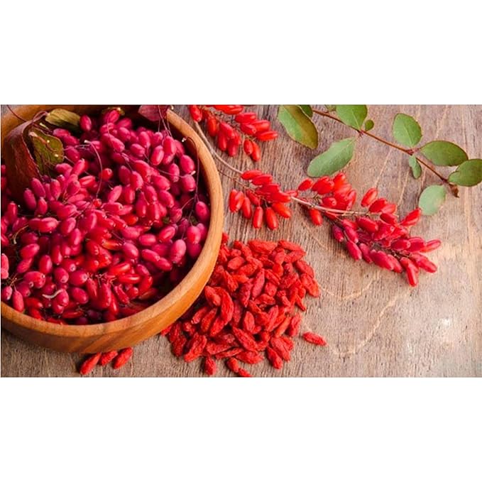 GAGOPA Korean Ingredients Expertly Dried and Roasted Caffein-Free Natural and Healthy Herbal Tea Grown in South Korea Pure with Rich Flavor (Dried Wolfberry)