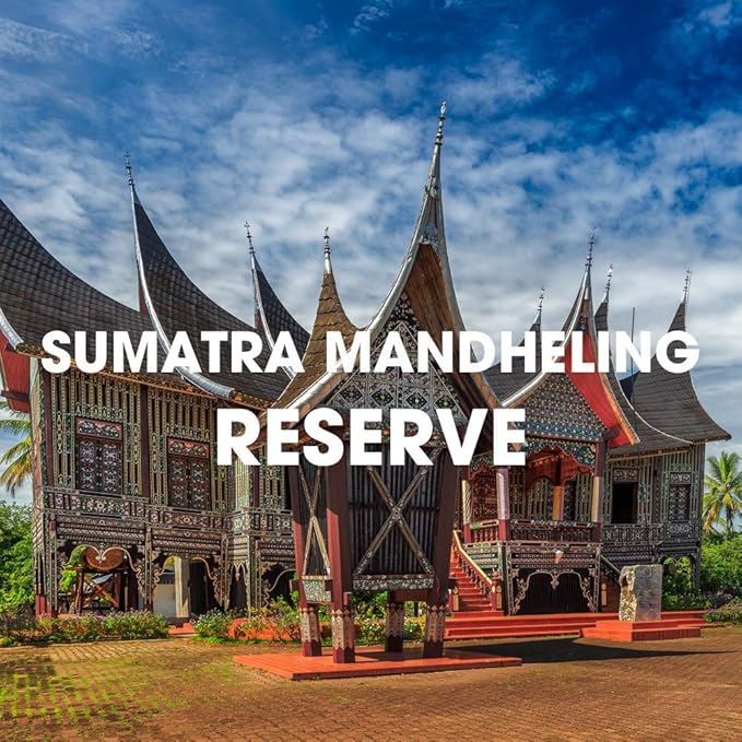 Sumatra Mandheling Dark Roast Coffee USDA Organic Whole Bean Reserve Fair Trade Fresh Roasted 16-ounce