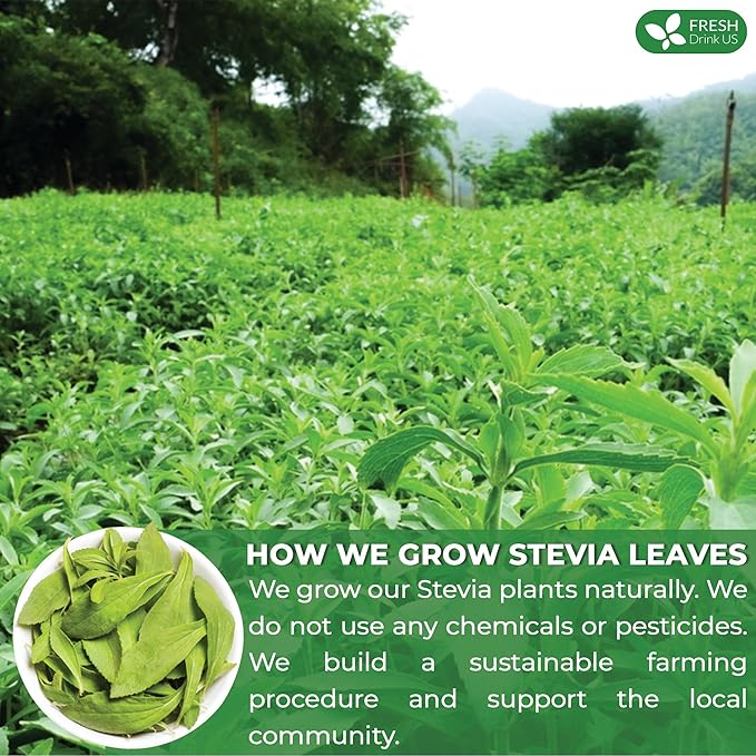 FreshDrinkUS Premium 500+ Natural Stevia Leaves Whole Dried Leaves 100% Pure Stevia Dried Leaves Zero Calorie Sweetener No Additives No Caffeine Vegan