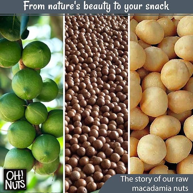 Oh! Nuts Raw Macadamia Nuts - Macadamia Nuts Unsalted - Jumbo Macadamia - 1 lb - 100% Natural Snack (Pack of 2)