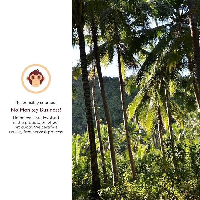 Coconut Oil Bulk - Organic Naturally Refined Coconut Oil (RBD) by Miracle Palm - Vegan Tasteless Non-GMO &amp Gluten Free - Ideal for Skin &amp Hair Care (5 Gallons)