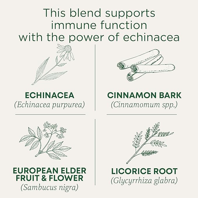 Traditional Medicinals Tea Organic Immune Zoom Elderberry Echinacea - Supports Immune Function - Kosher Non-GMO Caffeine-Free Compostable - 48 Tea Bags
