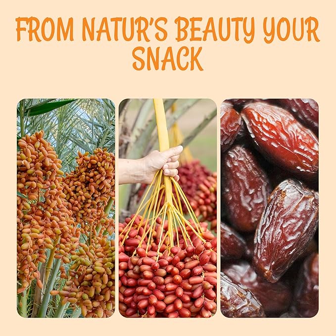 Oh! Nuts Jumbo Medjool Dates - Dried Dates - 2 lb - Unpitted Medjool Dates - No Sugar Added - Dehydrated Fruit Snack
